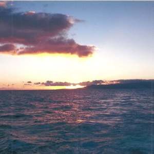 Meet your Posher, Donald